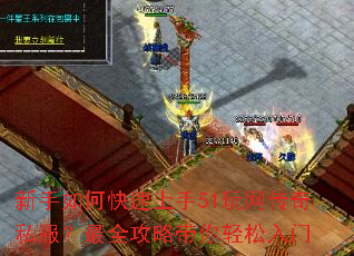 ������ο�������51��������˽������ȫ���Դ�����������