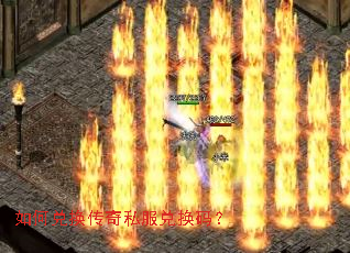 ��ζһ�����˽���һ��룿