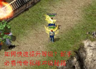 ��ο��������ȼ������ֱؿ�����˽���弶�ؼ�