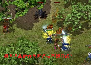 ӵ�м�Ʒ����Ϊ�λ�Ҫ����������