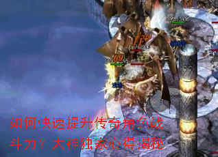 ��ο������������ɫս��������������ĵý���