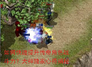 ��ο������������ɫս��������������ĵý���