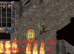 ������ָ�������Դ���أ������������ΪPK���ߣ�