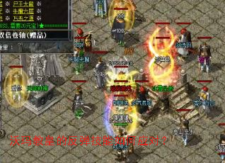 ����̻ʵķ����������Ӧ�ԣ�