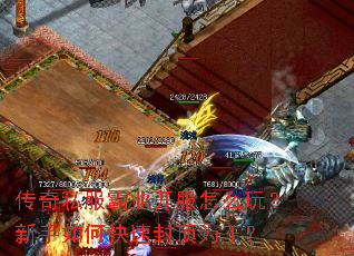 传奇私服霸业开服怎么玩?新手如何快速封顶为王? 传奇私服霸业开服怎么玩?新手如何快速封顶为王?