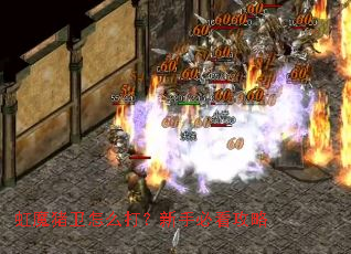 虹魔猪卫怎么打?新手必看攻略 虹魔猪卫怎么打?新手必看攻略