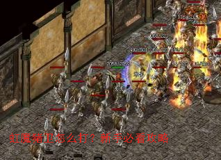 虹魔猪卫怎么打?新手必看攻略 虹魔猪卫怎么打?新手必看攻略