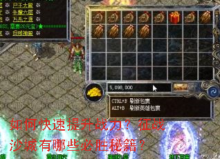 ��ο�������ս������սɳ������Щ��ʤ�ؼ���