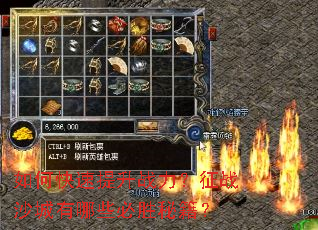 ��ο�������ս������սɳ������Щ��ʤ�ؼ���