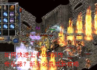 ��ο�������65535����˽�������ֱؿ��ɳ�����