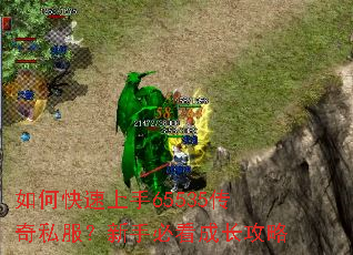 ��ο�������65535����˽�������ֱؿ��ɳ�����