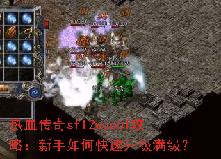 ��Ѫ����sf12woool���ԣ�������ο�������������