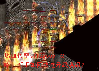 ��Ѫ����sf12woool���ԣ�������ο�������������