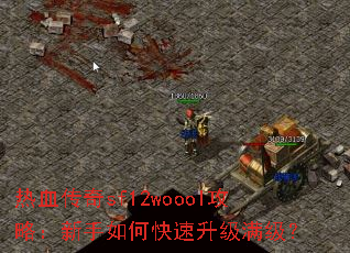 ��Ѫ����sf12woool���ԣ�������ο�������������