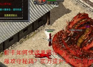 ������ο������մ���1.76˽�������ؼ���ʵ������ȫ���Խ���