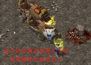 ��ţս�����ֵ�������𣿿����������������