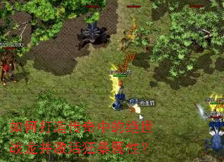 ��δ��촫���еľ���ս������������ԣ�