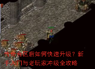 �����������ο�����������������������ҳ弶ȫ����