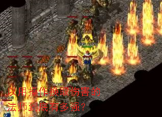 ���ò�����ȡ�˺��ķ�ʦ�����ж�ǿ��