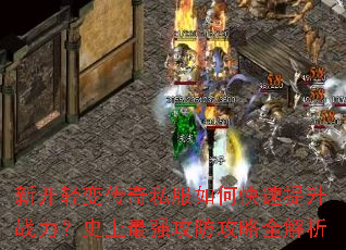 �¿���䴫��˽����ο�������ս����ʷ����ǿ��������ȫ����