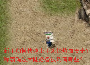 ������ο�������������Ѫ���棿�ư��귨��½�ر���������Щ��