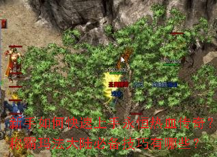 ������ο�������������Ѫ���棿�ư��귨��½�ر���������Щ��