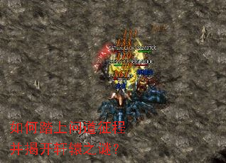 ���̤���ʵ����̲��ҿ���ԯ֮�գ�