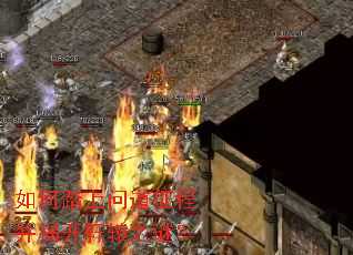 ���̤���ʵ����̲��ҿ���ԯ֮�գ�