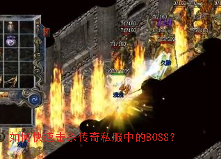 ��ο��ٻ�ɱ����˽���е�BOSS��