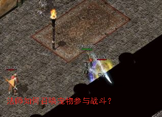 ��ʦ����ٻ��������ս����