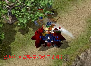 ��ʦ����ٻ��������ս����