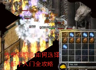 �����ְҵ���ѡ����������ȫ����