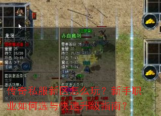 ����˽��������ô�棿����ְҵ���ѡ���������ָ�ϣ�