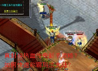 �������Ѫ�������ֹ��ԣ���ο��ٳư��귨��½��