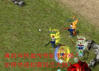 �������Ѫ�������ֹ��ԣ���ο��ٳư��귨��½��