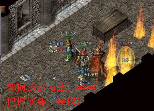 ��β���ΪӪ�����ΰ���ս������Ȩ��