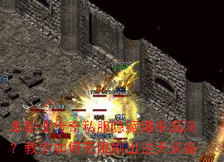 ��ְҵ����˽�����ر���©���������������ˢ������װ��