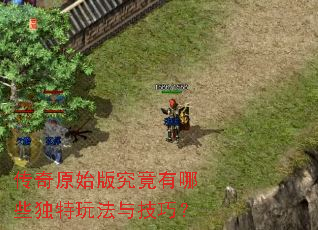 ����ԭʼ�澿������Щ�����淨�뼼�ɣ�