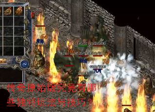 ����ԭʼ�澿������Щ�����淨�뼼�ɣ�