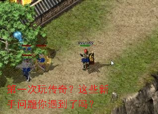 ��һ���洫�棿��Щ������������������