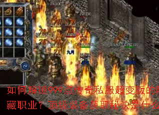 ��ν���999�㴫��˽������������ְҵ������װ����ȡ�ؾ���ʲô��