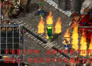 ���Ӹ��Ŵ��棺���ɽ���������ο����𲽣�װ����ȡ�������ؾ��󹫿�
