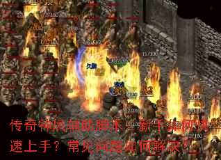 ������縨���ű���������ο������֣�����������ν����