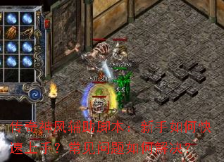 ������縨���ű���������ο������֣�����������ν����
