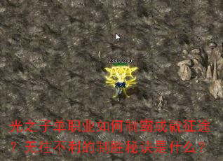 ��֮�ӵ�ְҵ����ưԳɾ���;��������������ʤ�ؾ���ʲô��