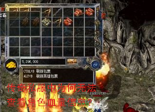 ����˽����Ϊ���޷��鿴��ɫѪ����Ϣ��