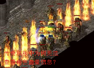 ����˽����Ϊ���޷��鿴��ɫѪ����Ϣ��