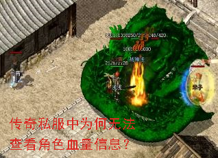 ����˽����Ϊ���޷��鿴��ɫѪ����Ϣ��