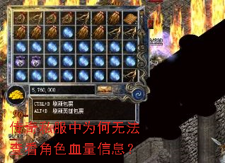 ����˽����Ϊ���޷��鿴��ɫѪ����Ϣ��