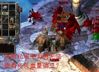 ����˽����Ϊ���޷��鿴��ɫѪ����Ϣ��